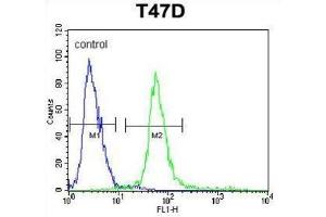 Flow Cytometry (FACS) image for anti-Potassium Channel Tetramerisation Domain Containing 12 (KCTD12) antibody (ABIN3004107) (KCTD12 抗体)