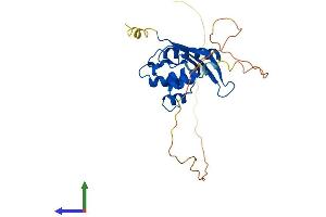 Protein Structure (PS) image for Sorting Nexin 11 (SNX11) (AA 1-271) protein (His tag) (ABIN7560044)