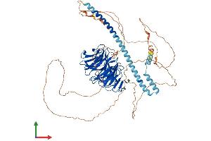 AlphaFold protein structure predicition of Human Recombinant TLE3 Protein, UniprotID Q04726 (TLE3 Protein (AA 1-772) (His tag))