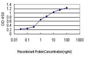 Detection limit for recombinant GST tagged CRX is approximately 0. (CRX 抗体  (AA 1-95))