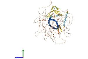 AlphaFold protein structure predicition of Human Recombinant SYNM Protein, UniprotID O15061 (SYNM Protein (AA 1-1565) (His tag))