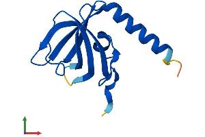Protein Structure (PS) image for TEN1 Telomerase Capping Complex Subunit (TEN1) (AA 1-123) protein (His tag) (ABIN7555728)