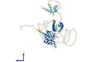Protein Structure (PS) image for RAS and EF Hand Domain Containing (RASEF) (AA 1-740) protein (His tag) (ABIN7551162)