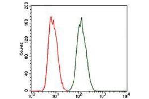 Flow cytometric analysis of MCF-7 cells using PRKACG mouse mAb (green) and negative control (red). (PRKACG 抗体)