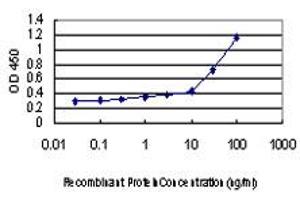 Detection limit for recombinant GST tagged NDN is approximately 0. (NDN 抗体  (AA 222-321))