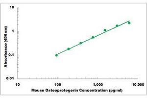 Representative Standard Curve (Osteoprotegerin ELISA 试剂盒)
