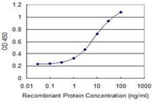 Detection limit for recombinant GST tagged ZNF266 is 0. (ZNF266 抗体  (AA 274-346))