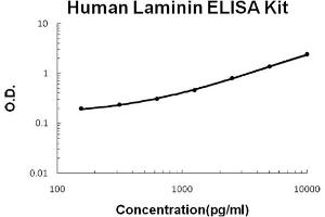 Human Laminin Accusignal ELISA Kit Human Laminin AccuSignal ELISA Kit Standard curve. (Laminin ELISA 试剂盒)