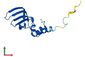 AlphaFold protein structure predicition of Mouse Recombinant Lsm10 Protein, UniprotID Q8QZX5