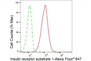 Flow cytometric analysis of Insulin receptor substrate 1 expression in HT- cells using Insulin receptor substrate 1 antibody (ABIN7799046), 1:2,000). (Recombinant IRS1 抗体)