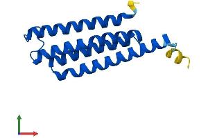 Protein Structure (PS) image for Microsomal Glutathione S-Transferase 2 (MGST2) (AA 1-147) protein (His tag) (ABIN7549354)