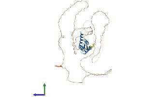 Protein Structure (PS) image for Cornulin (CRNN) (AA 1-495) protein (His tag) (ABIN7546857)