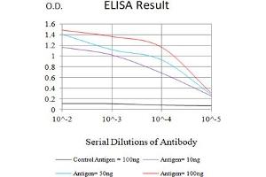 Black line: Control Antigen (100 ng),Purple line: Antigen (10 ng), Blue line: Antigen (50 ng), Red line:Antigen (100 ng) (GZMB 抗体  (AA 21-247))