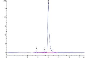 Size-exclusion chromatography-High Pressure Liquid Chromatography (SEC-HPLC) image for Parathyroid Hormone (PTH) (AA 32-115) protein (Fc Tag) (ABIN7275497)