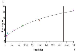 Surface Plasmon Resonance (SPR) image for Fc Fragment of IgG, Low Affinity IIIb, Receptor (CD16b) (FCGR3B) (AA 17-200) protein (His-Avi Tag,Biotin) (ABIN7274601)