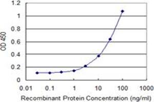 Detection limit for recombinant GST tagged INPP4B is 1 ng/ml as a capture antibody. (INPP4B 抗体  (AA 1-53))