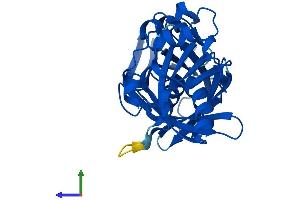 Protein Structure (PS) image for Phenazine Biosynthesis-Like Protein Domain Containing 1 (PBLD1) (AA 1-288) protein (His tag) (ABIN7550555)