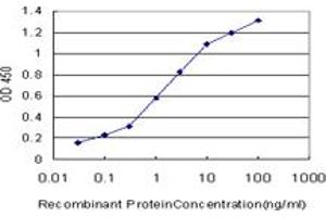 Detection limit for recombinant GST tagged LHX4 is approximately 0. (LHX4 抗体  (AA 208-306))