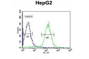 Flow Cytometry (FACS) image for anti-Phospholipid Transfer Protein (PLTP) antibody (ABIN3003343) (PLTP 抗体)