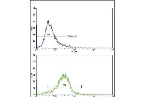 Flow Cytometry (FACS) image for anti-Collagen, Type VI, alpha 1 (COL6A1) (AA 831-858), (C-Term) antibody (ABIN390513)