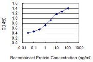 Detection limit for recombinant GST tagged PPP1R13B is 0. (PPP1R13B 抗体  (AA 1-90))