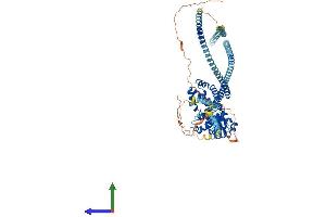 Protein Structure (PS) image for Ecotropic Viral Integration Site 5-Like (EVI5L) (AA 1-794) protein (His tag) (ABIN7547485)
