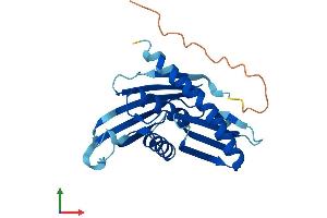 AlphaFold protein structure predicition of Mouse Recombinant Exosc5 Protein, UniprotID Q9CRA8