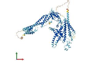 Protein Structure (PS) image for ATPase, H+ Transporting, Lysosomal V0 Subunit A1 (ATP6V0A1) (AA 1-837) protein (His tag) (ABIN7555985)