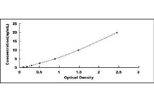 Dopamine Receptor D2 (DRD2) ELISA Kit