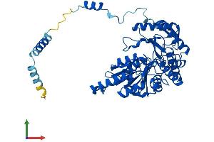 Protein Structure (PS) image for serine Palmitoyltransferase, Long Chain Base Subunit 1 (SPTLC1) (AA 1-473) protein (His tag) (ABIN7555644)