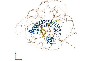 Protein Structure (PS) image for Erbb2 Interacting Protein (ERBB2IP) (AA 1-1412) protein (His tag) (ABIN7554372)