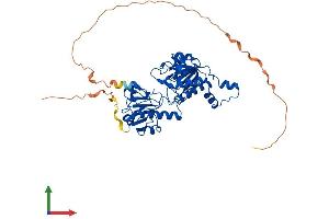 Protein Structure (PS) image for C-terminal Binding Protein 1 (CTBP1) (AA 1-441) protein (His tag) (ABIN7562656)