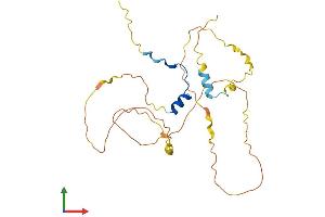 Protein Structure (PS) image for POU Class 2 Associating Factor 1 (POU2AF1) (AA 1-256) protein (His tag) (ABIN7557853)