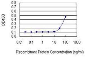 Detection limit for recombinant GST tagged NP is 10 ng/ml as a capture antibody. (PNP 抗体  (AA 1-289))