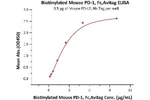 Immobilized Mouse PD-L2, His Tag (ABIN2870760,ABIN2870761) at 5 μg/mL (100 μL/well) can bind Biotinylated Mouse PD-1, Fc,Avitag (ABIN2870576,ABIN2870577) with a linear range of 0. (PD-1 Protein (AA 25-167) (Fc Tag,AVI tag,Biotin))