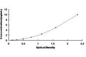 Fibrinogen beta Chain (FGB) ELISA Kit