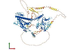 Protein Structure (PS) image for Cyclic Nucleotide Gated Channel beta 3 (CNGB3) (AA 1-809) protein (His tag) (ABIN7553486)