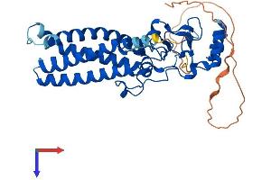 AlphaFold protein structure predicition of Human Recombinant ZDHHC2 Protein, UniprotID Q9UIJ5