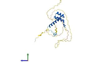 AlphaFold protein structure predicition of Human Recombinant BSX Protein, UniprotID Q3C1V8 (BSX Protein (AA 1-233) (His tag))