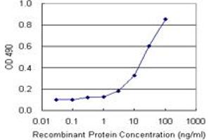 Sandwich ELISA detection sensitivity ranging from 3 ng/mL to 100 ng/mL. (MCM4 (人) Matched Antibody Pair)