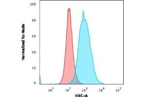 Flow Cytometric Analysis of PFA-fixed MOLT4 cells. (Recombinant TYMS 抗体  (AA 60-174))