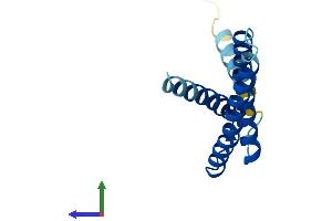 AlphaFold protein structure predicition of Human Recombinant TMEM170B Protein, UniprotID Q5T4T1 (TMEM170B Protein (AA 1-132) (His tag))