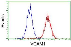 Flow cytometric Analysis of Hela cells, using anti-VCAM1 antibody (ABIN2454217), (Red), compared to a nonspecific negative control antibody, (Blue). (VCAM1 抗体)