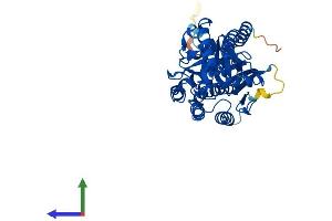 AlphaFold protein structure predicition of Human Recombinant PM20D2 Protein, UniprotID Q8IYS1