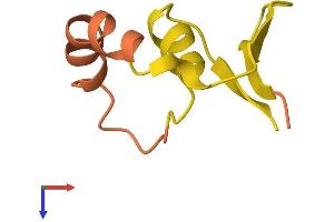 AlphaFold protein structure predicition of Human Recombinant LINC00310 Protein, UniprotID P59036