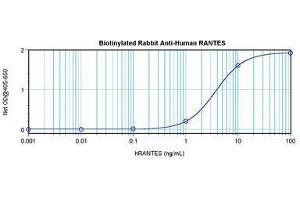 Image no. 1 for anti-Chemokine (C-C Motif) Ligand 5 (CCL5) antibody (Biotin) (ABIN465679) (CCL5 抗体  (Biotin))