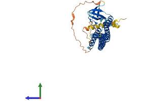 AlphaFold protein structure predicition of Human Recombinant SH3GLB2 Protein, UniprotID Q9NR46