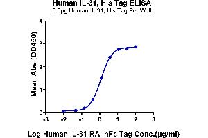 ELISA image for Interleukin 31 (IL31) (AA 24-164) protein (His tag) (ABIN7274942)