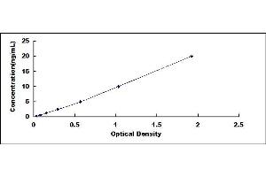 Typical standard curve (AQP3 ELISA 试剂盒)