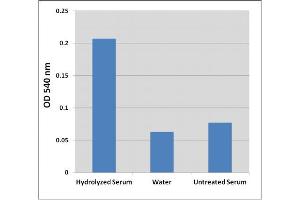 Detection of hydroxyproline in human serum.